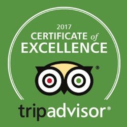 tripadvisor travel award
