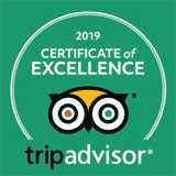 tripadvisor award winner 2019