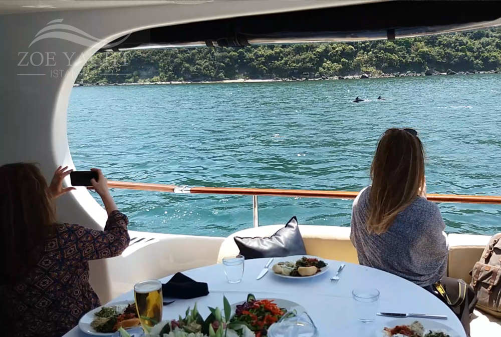 Spotting some of Istanbul's dolphins playing on the way!