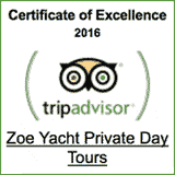 trip advisor award winner