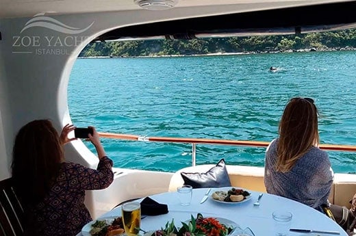 bosphorus black sea cruise from istanbul tour with dolphins and dinner